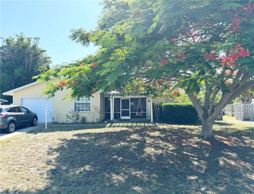 a house that has a tree in front of it