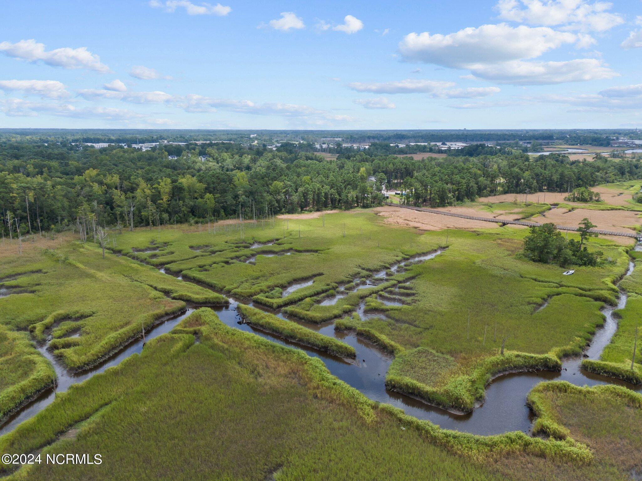 Palmetto towards Preservation