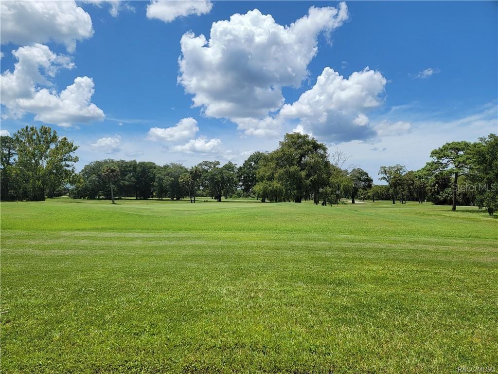 a view of field with trees in the background