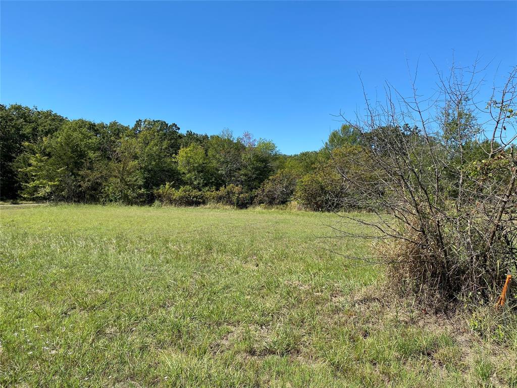 a view of a field with an ocean