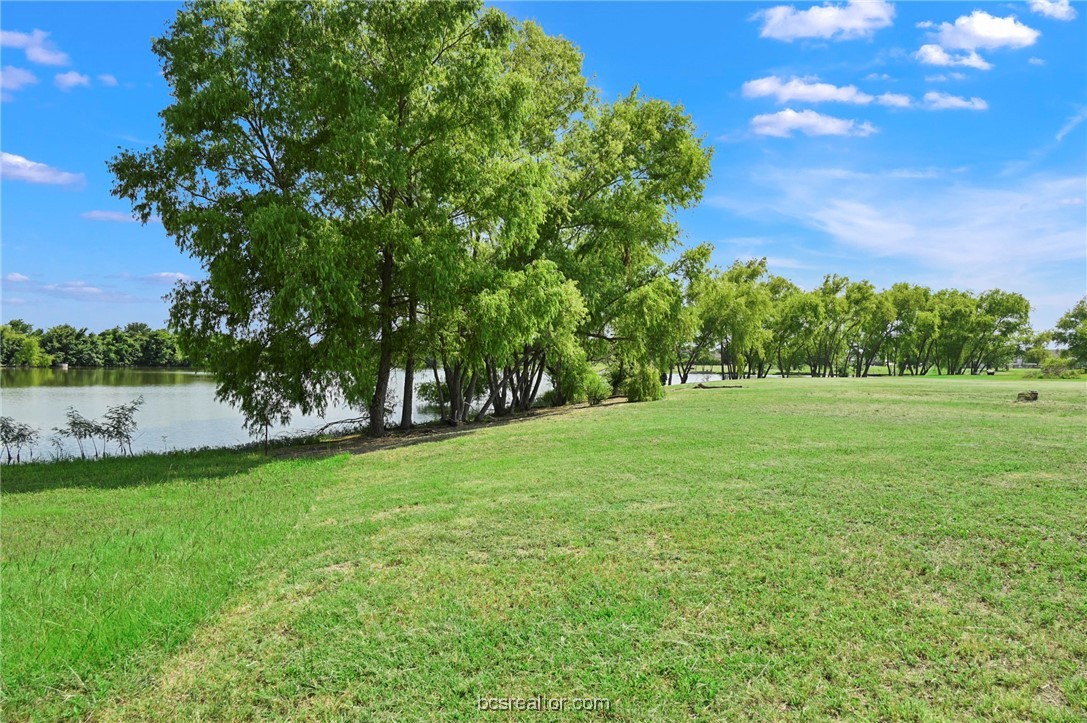 a view of a trees with a yard