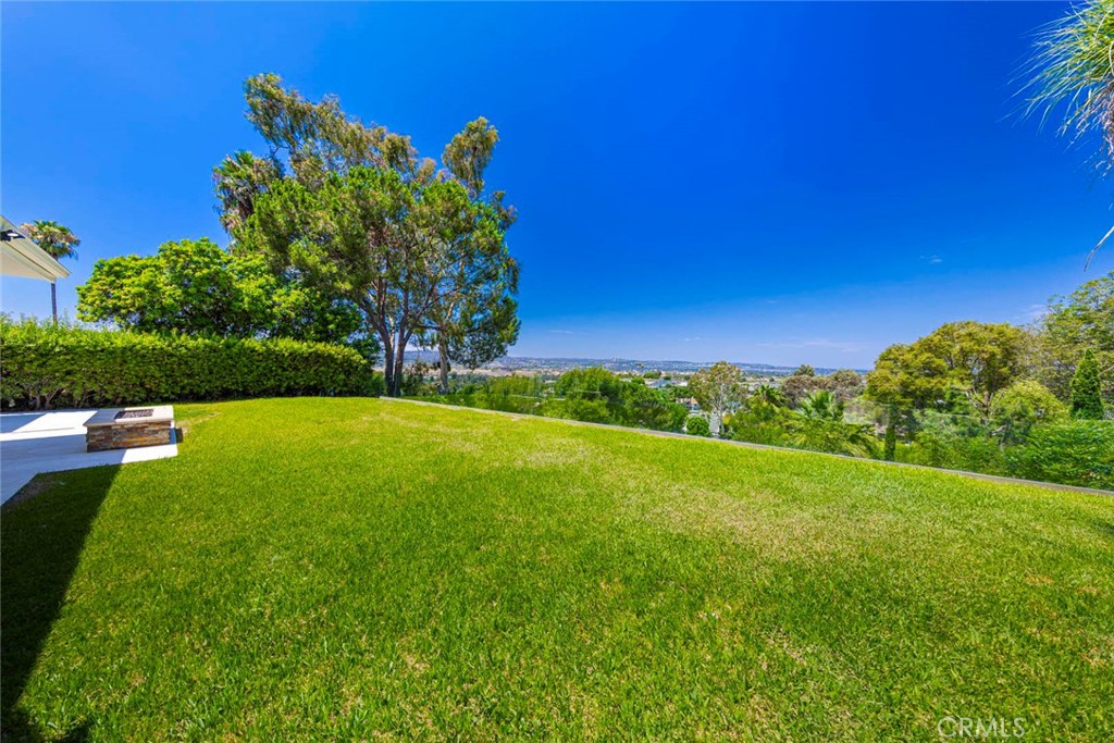 a view of a field with an tree