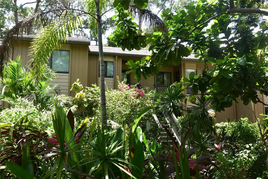 a view of a house with a tree