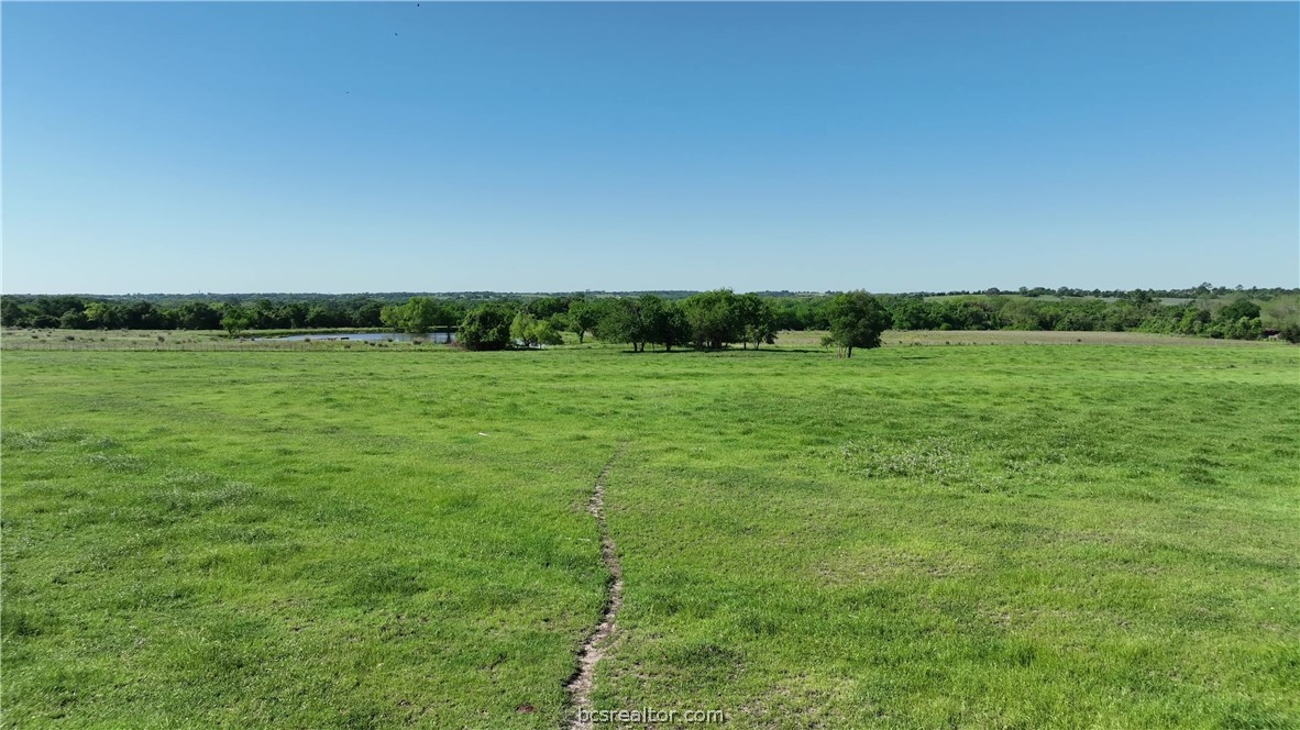 a view of grassy field with trees