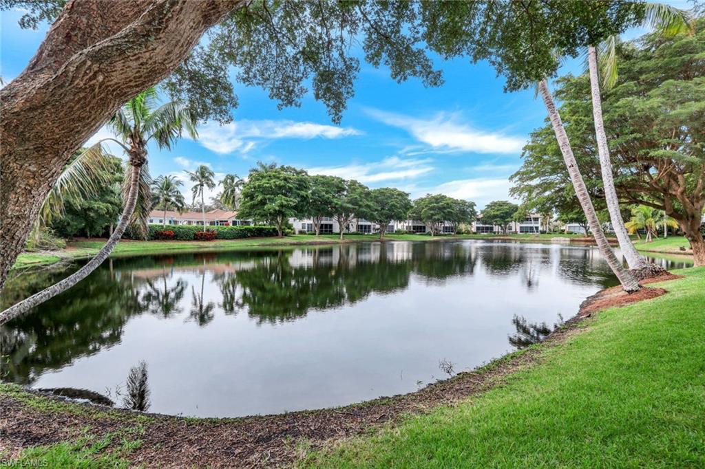 a view of a lake with houses in the back