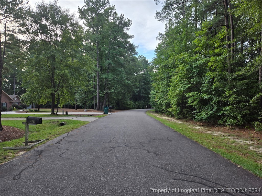 a view of a road with a park