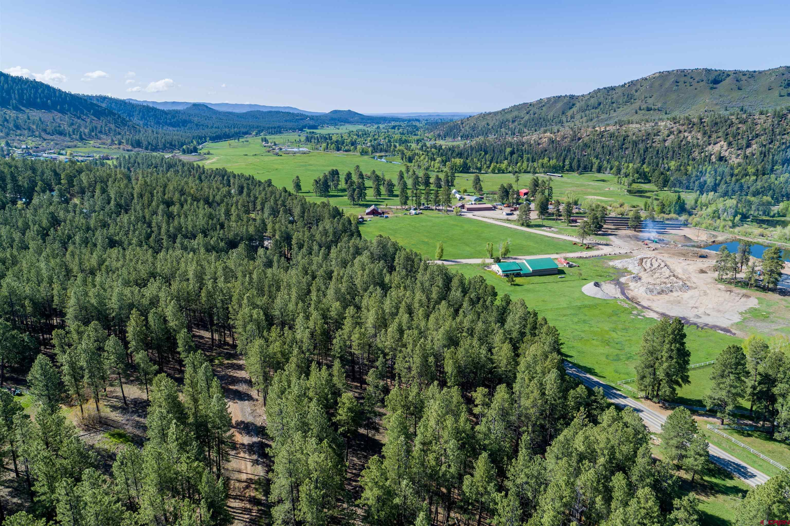 an aerial view of green landscape with trees houses and mountain view