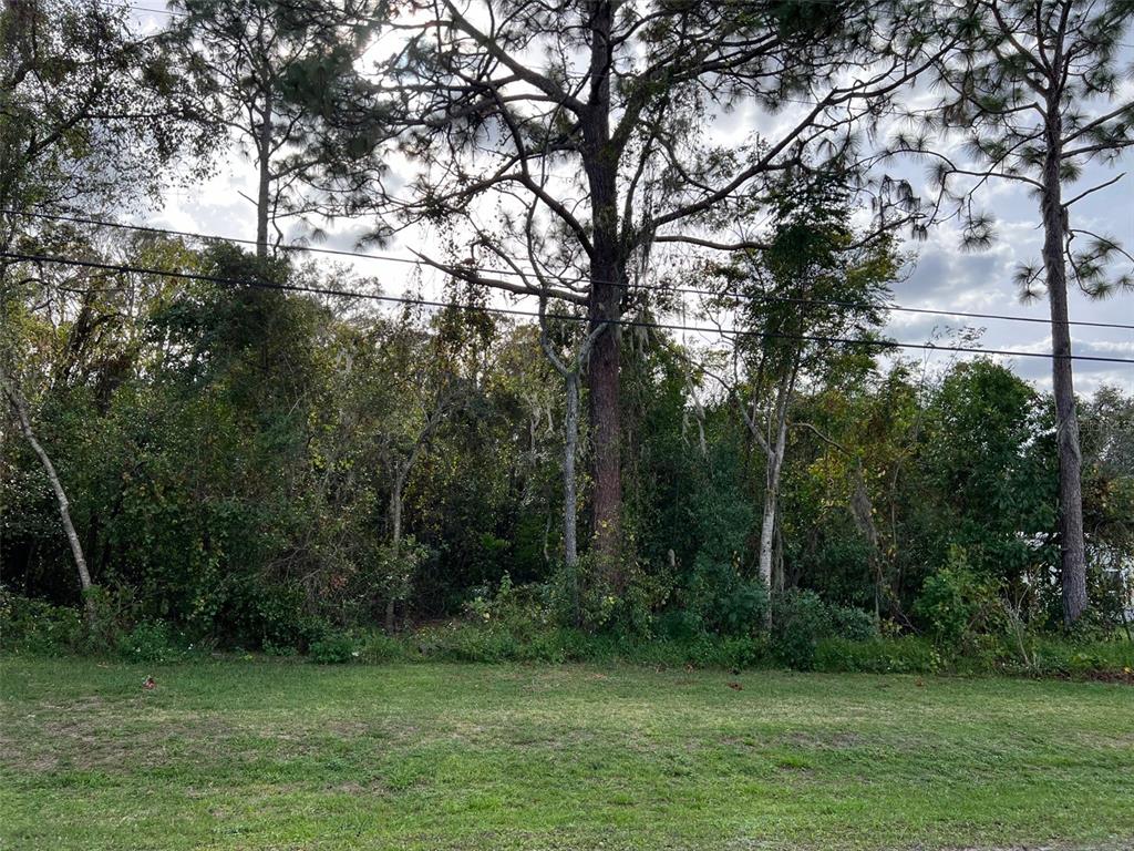 a view of outdoor space with green field and trees all around