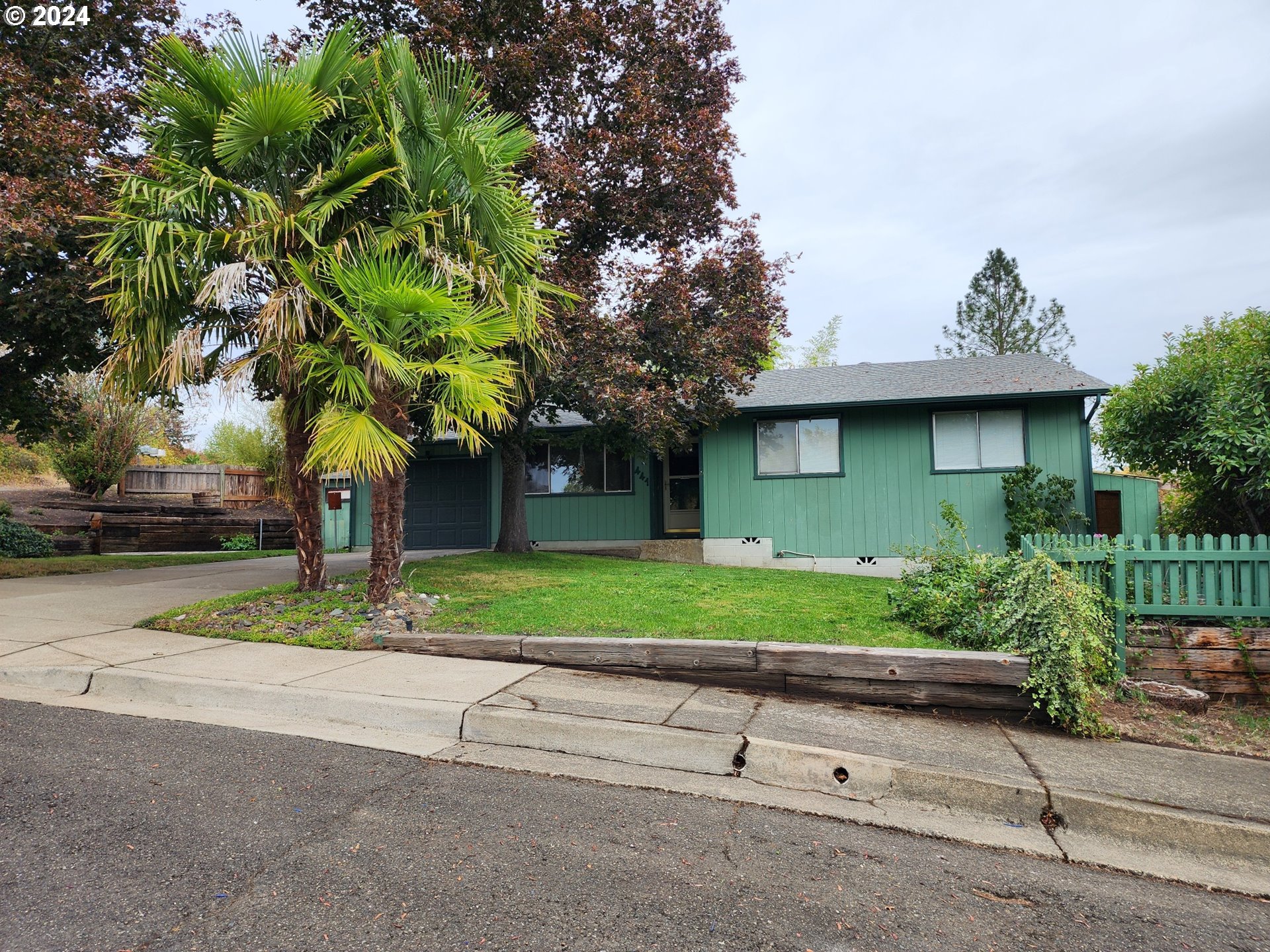 a view of a house with a yard and large tree