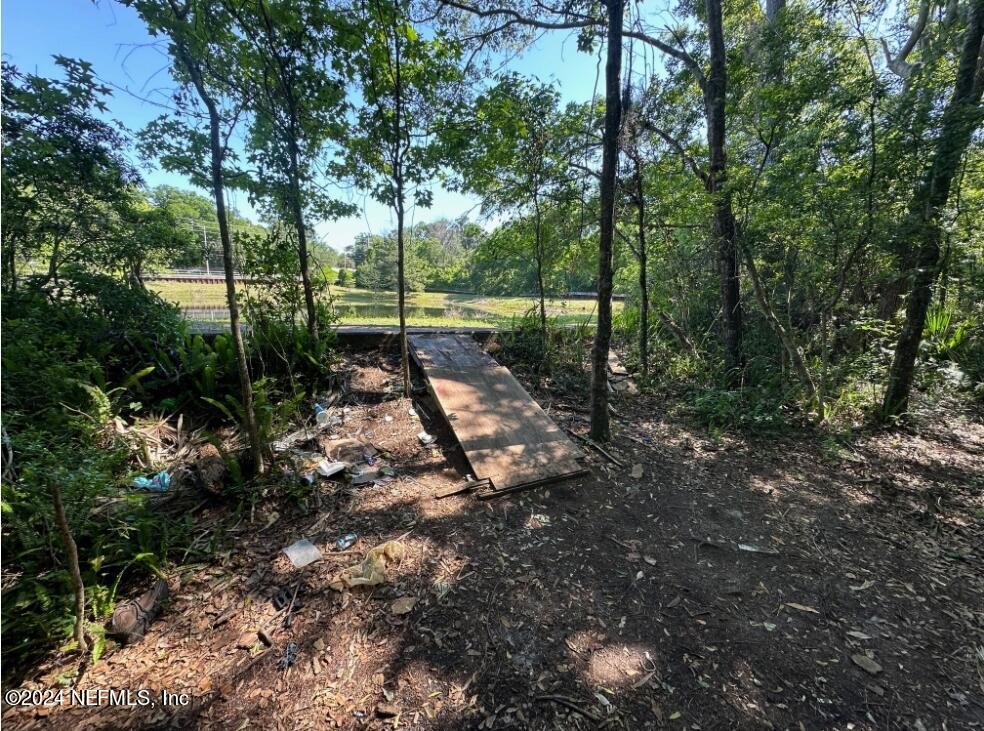 a view of a park that has large trees