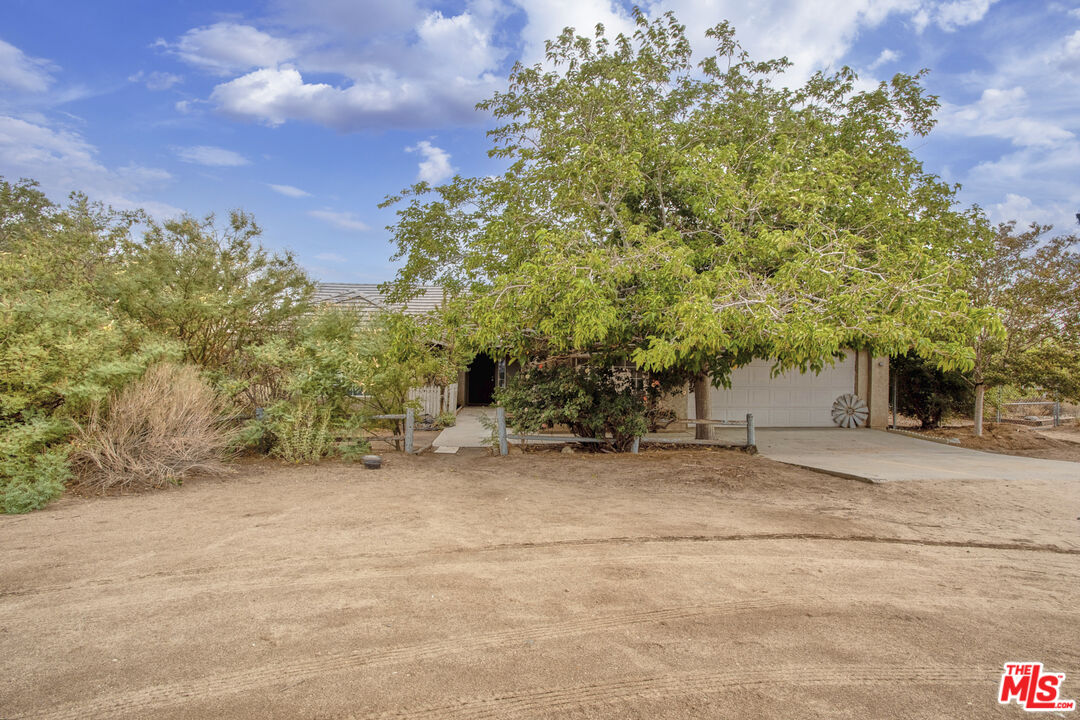 a view of a out door of the house