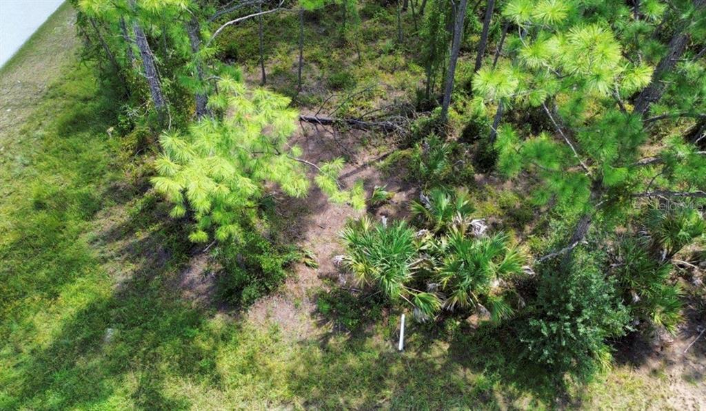 a backyard of a house with lots of trees