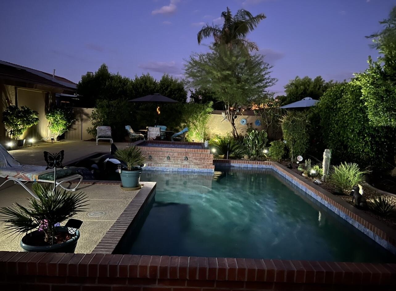 a view of a backyard with couches chair and potted plants