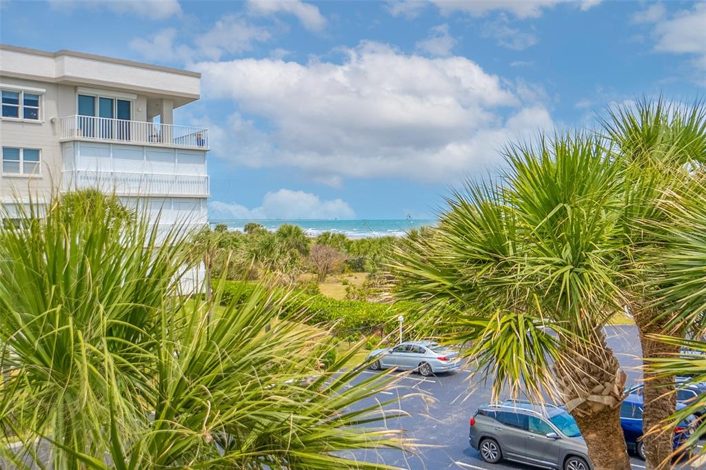 a view of a palm plants in front of house