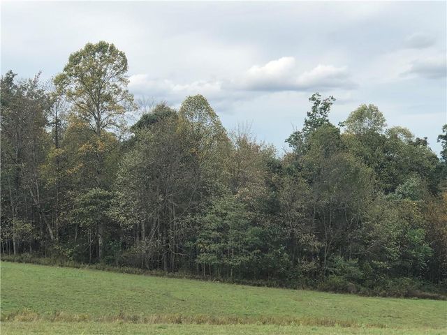 $295,000 | 0 Dinner Bell Ohiopyle Road | Wharton Township - Fayette County