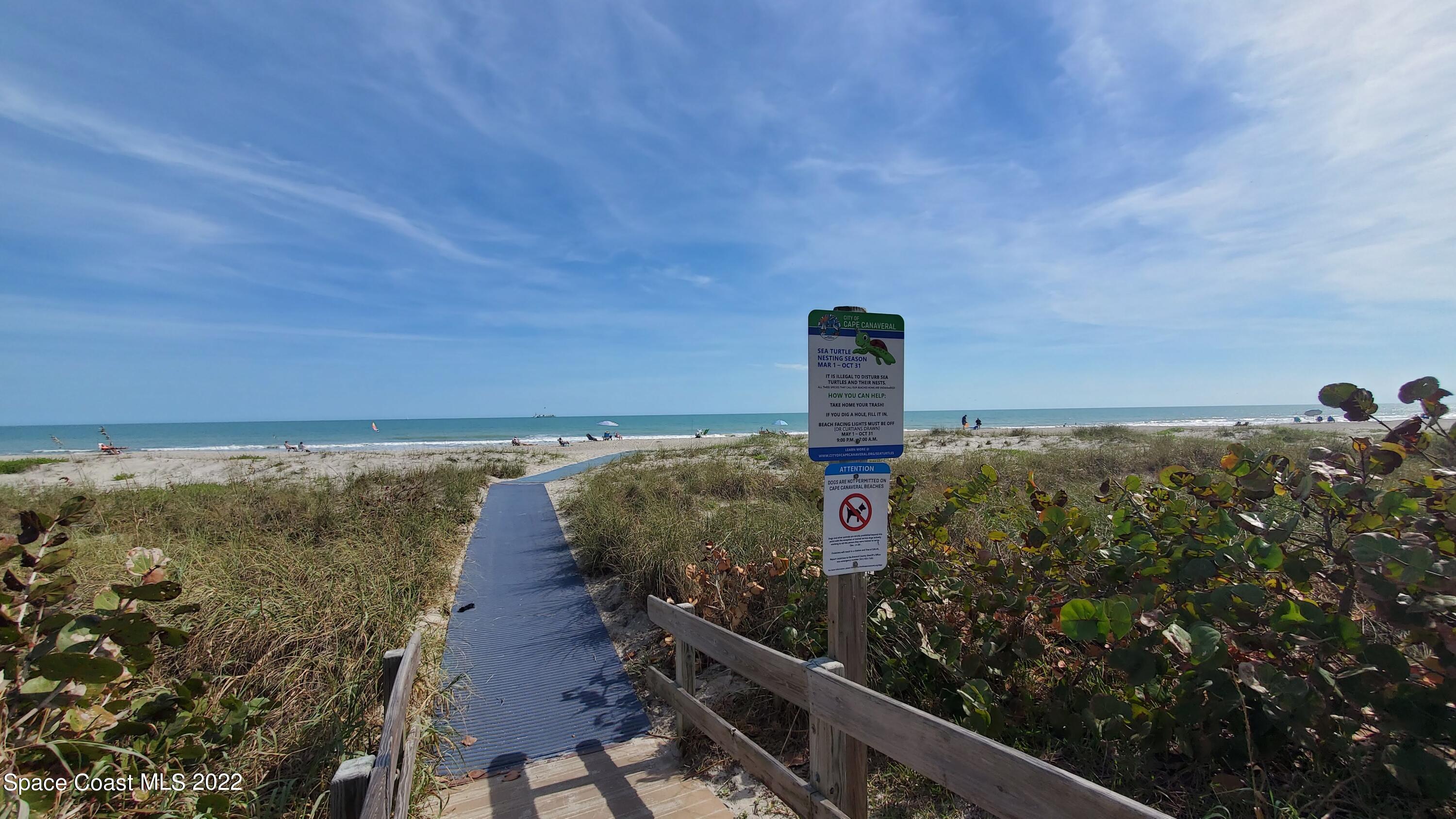 are dogs allowed on cape canaveral beach