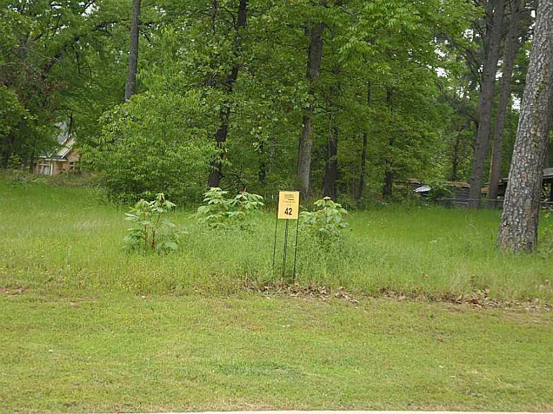 a view of a water pond with green space