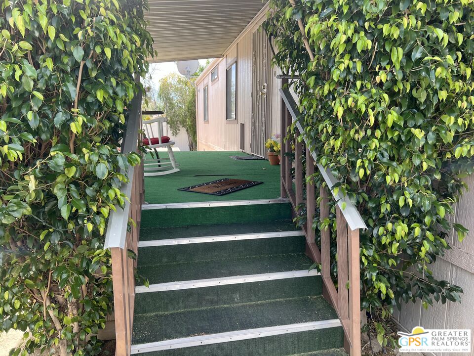 a view of backyard with wooden floor and a potted plant