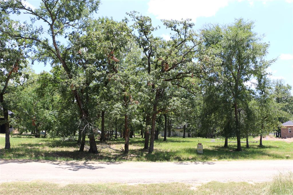 a view of a park with large trees