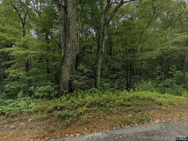 a view of a forest with trees in the background