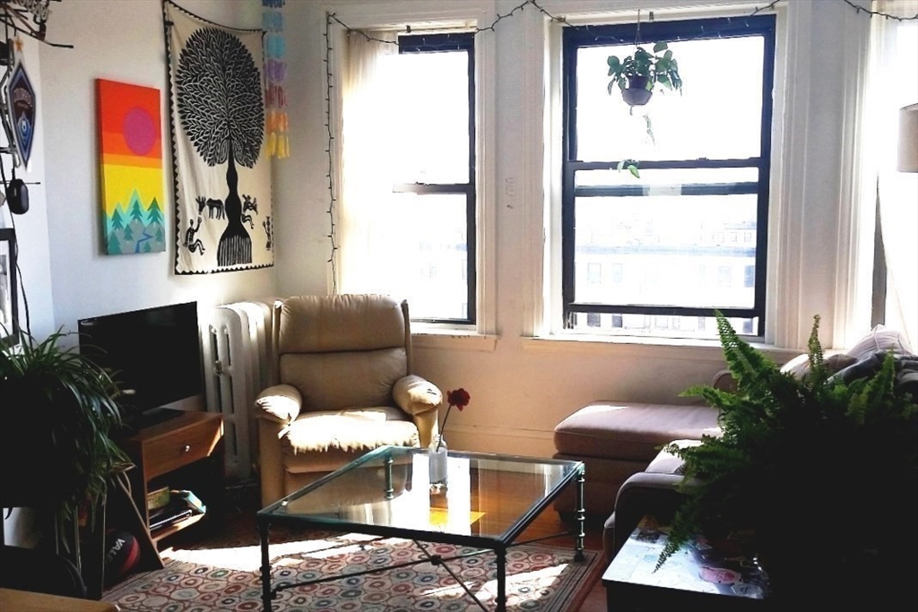 a living room with furniture and a potted plant