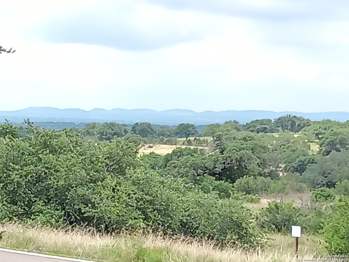 a view of a lush green field with lots of bushes