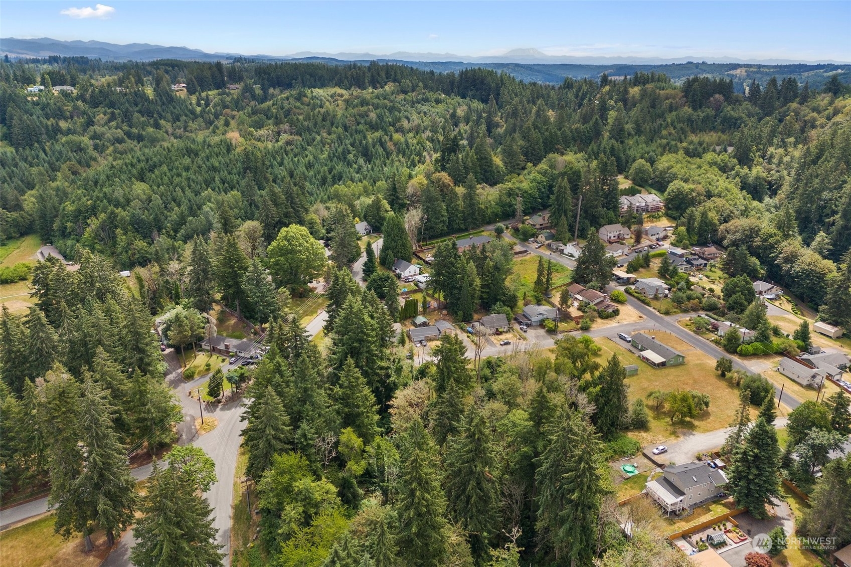 an aerial view of residential houses with outdoor space and trees