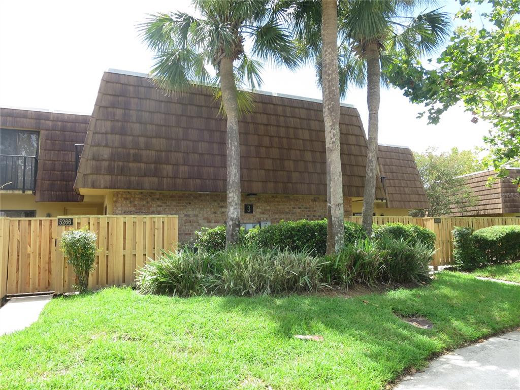 a view of a backyard with plants and palm trees