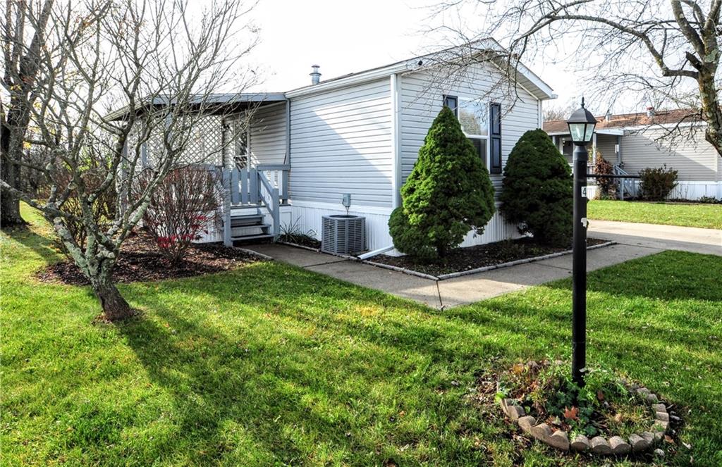 a view of a house with backyard and a tree