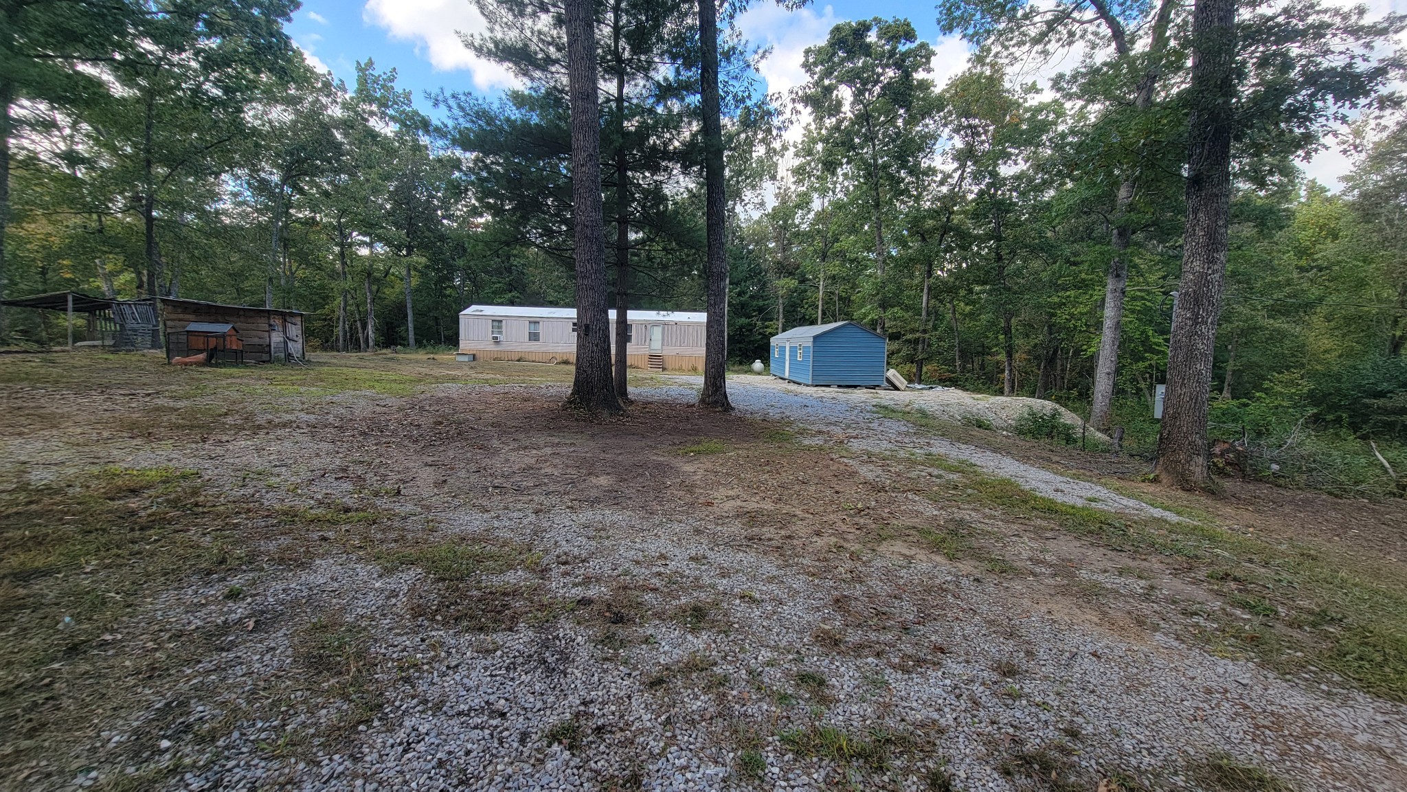 a view of a trees with a back yard