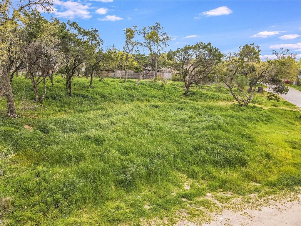 a view of grassy field with trees