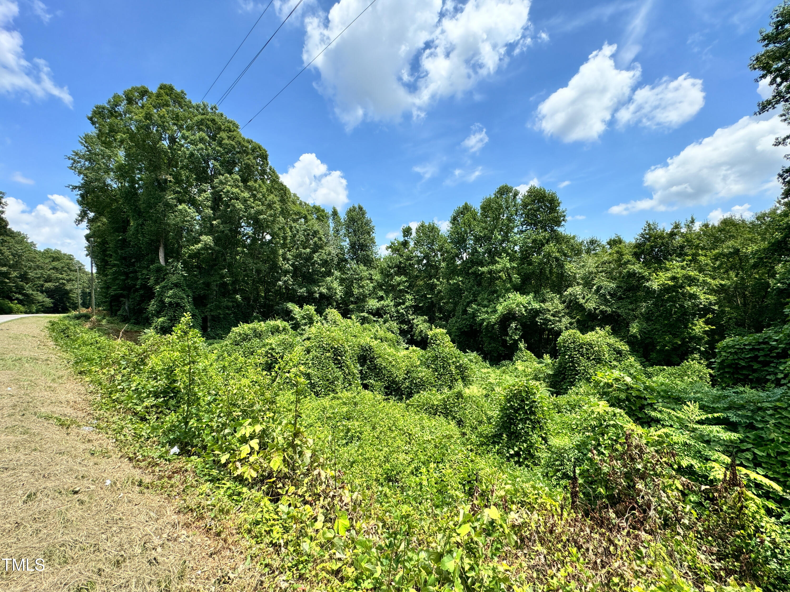 a view of a bunch of trees