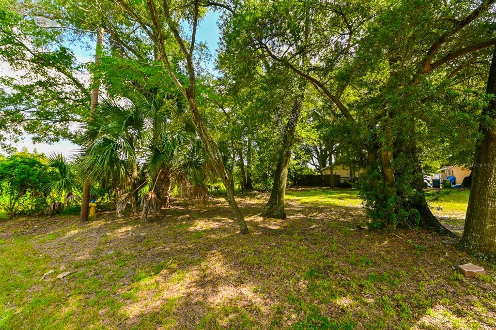 a view of yard with green space