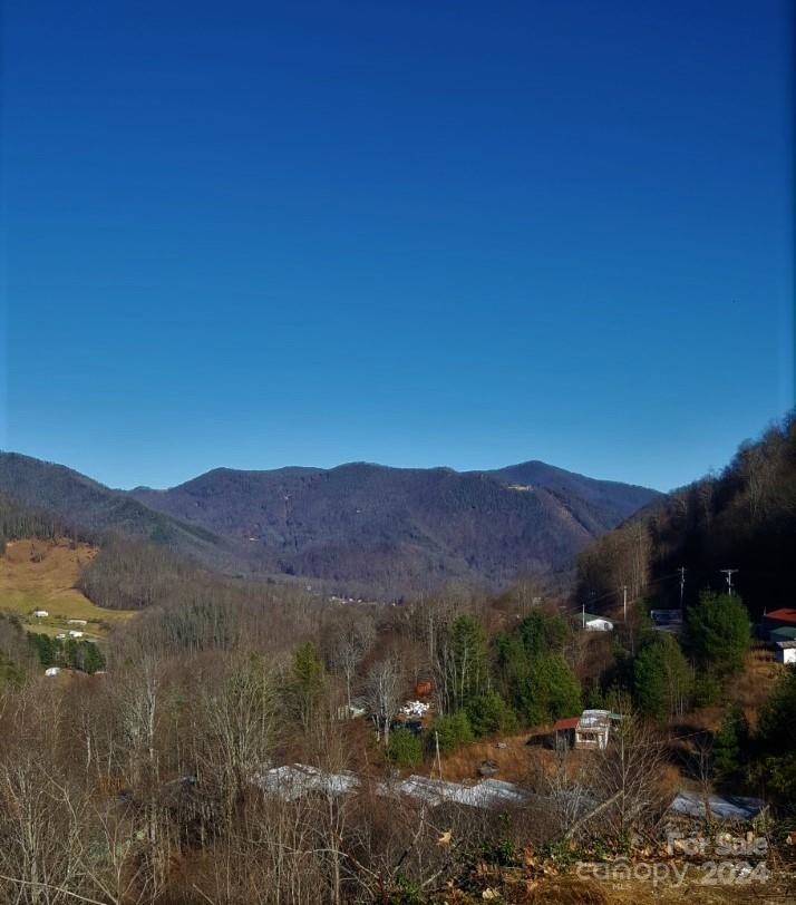 a view of a lush green field with mountains in the background