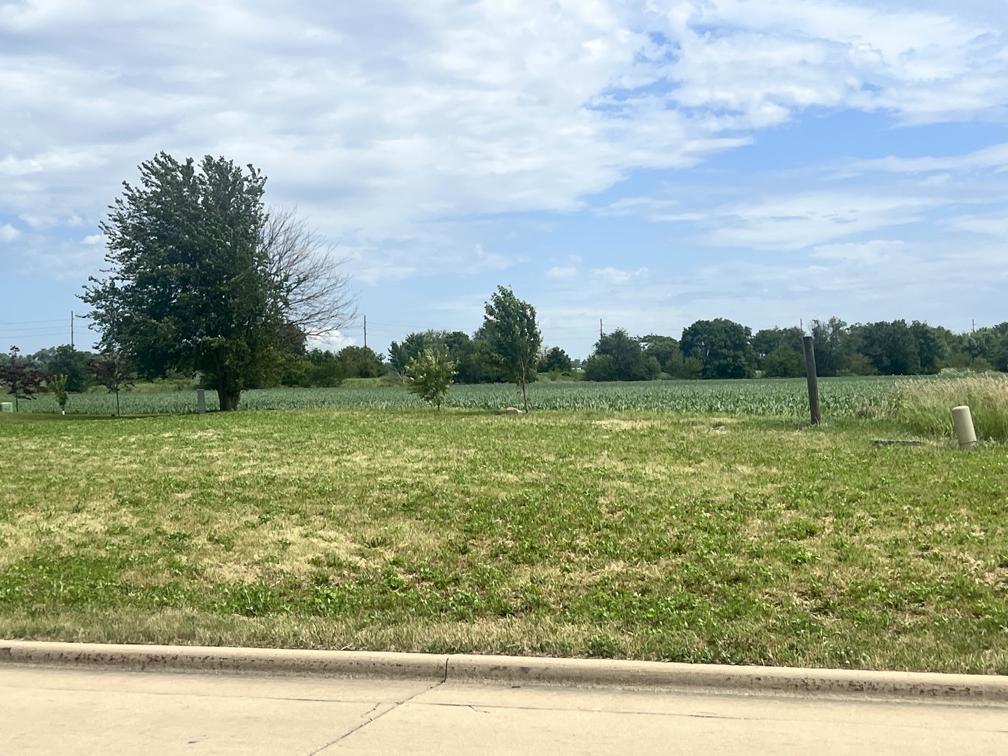 a view of a field with an ocean view