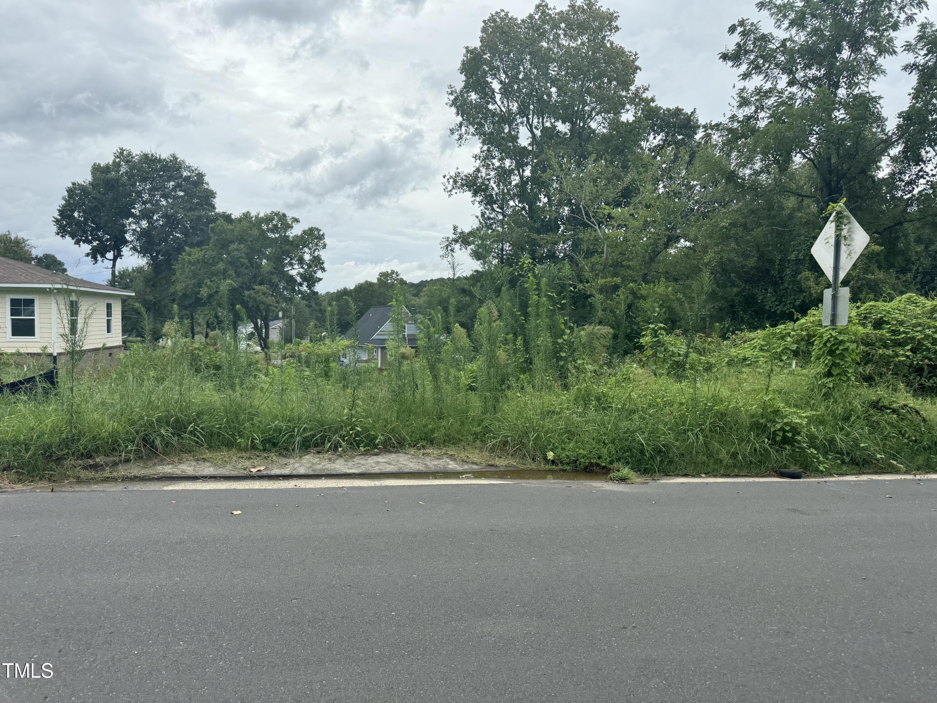 a view of a rural road with plants and trees