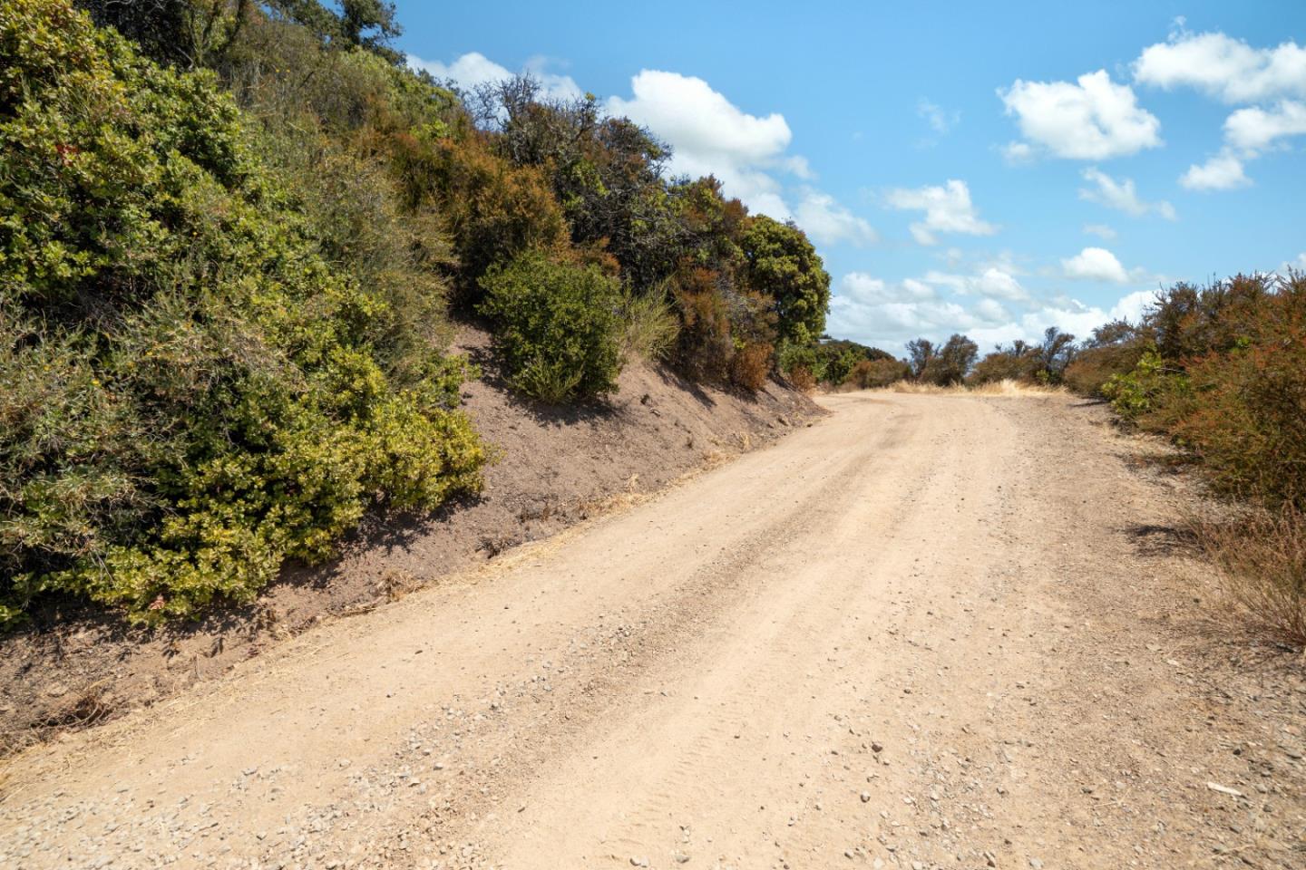 a view of a dry yard with trees