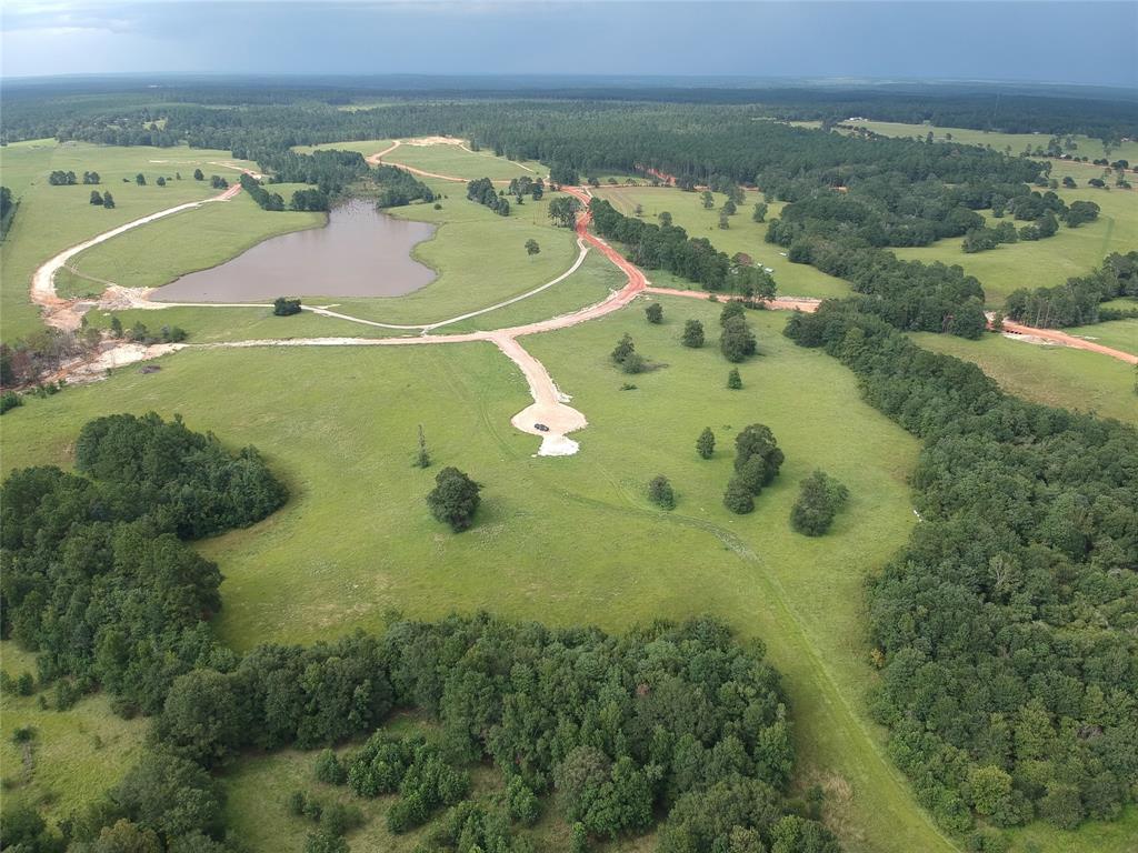 an aerial view of a residential houses with outdoor space