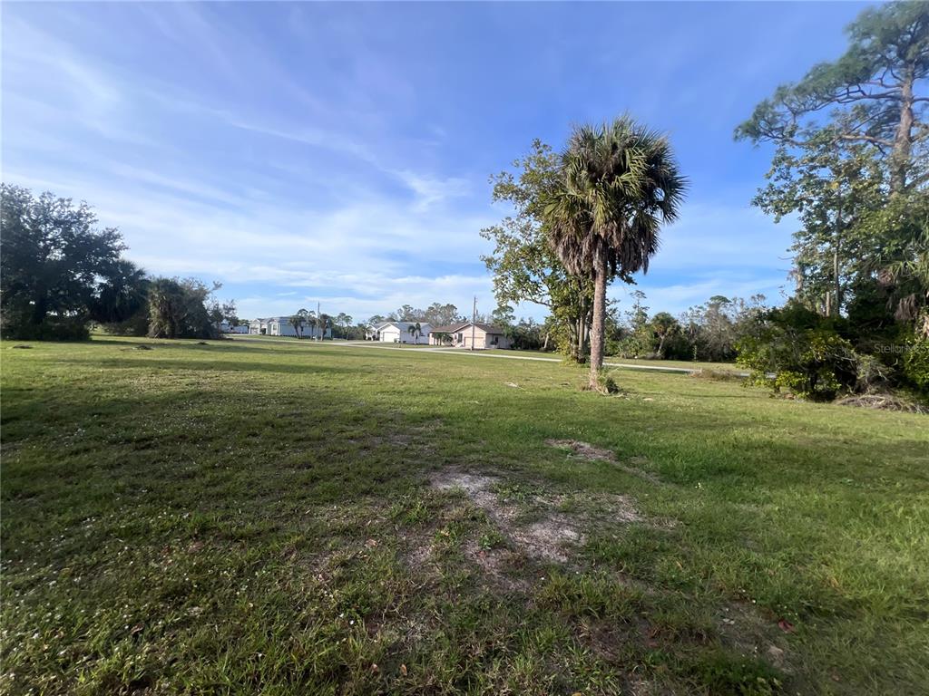 a view of a field with an trees