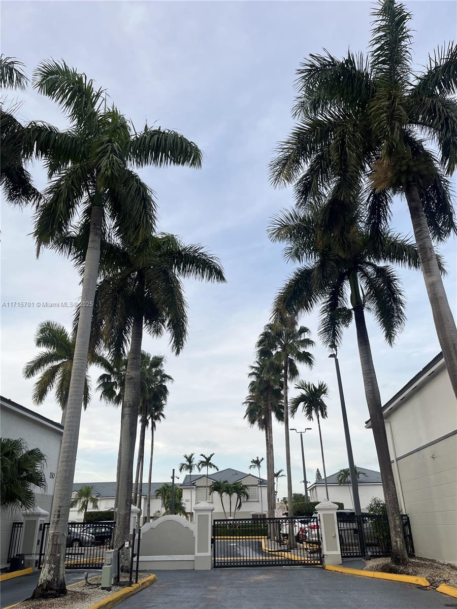 an ocean view with palm trees