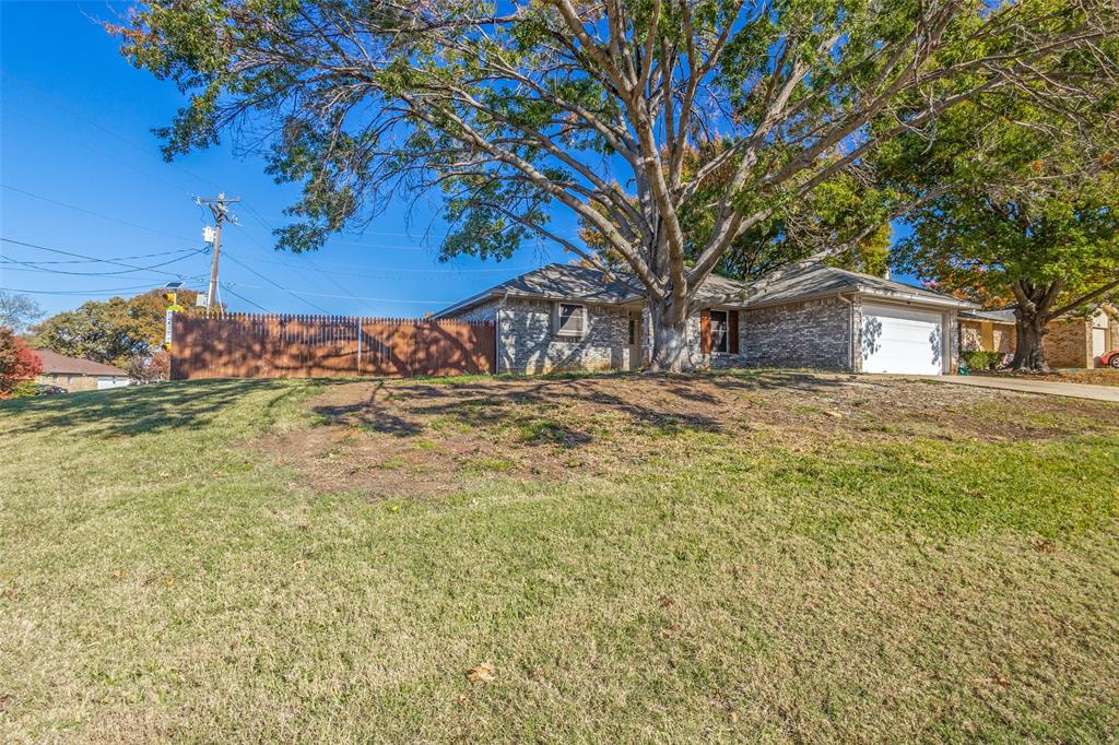 a view of a yard with a tree