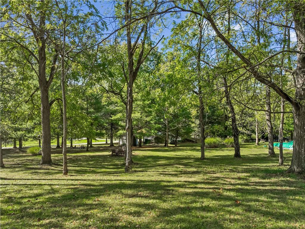 a park with trees and trees