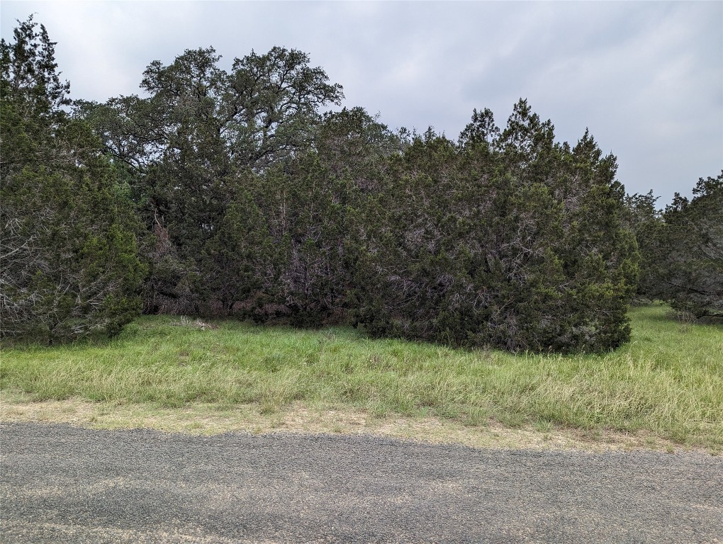 a view of a yard with a tree