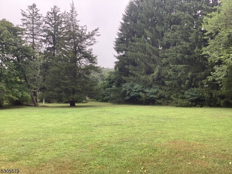 a view of field with trees