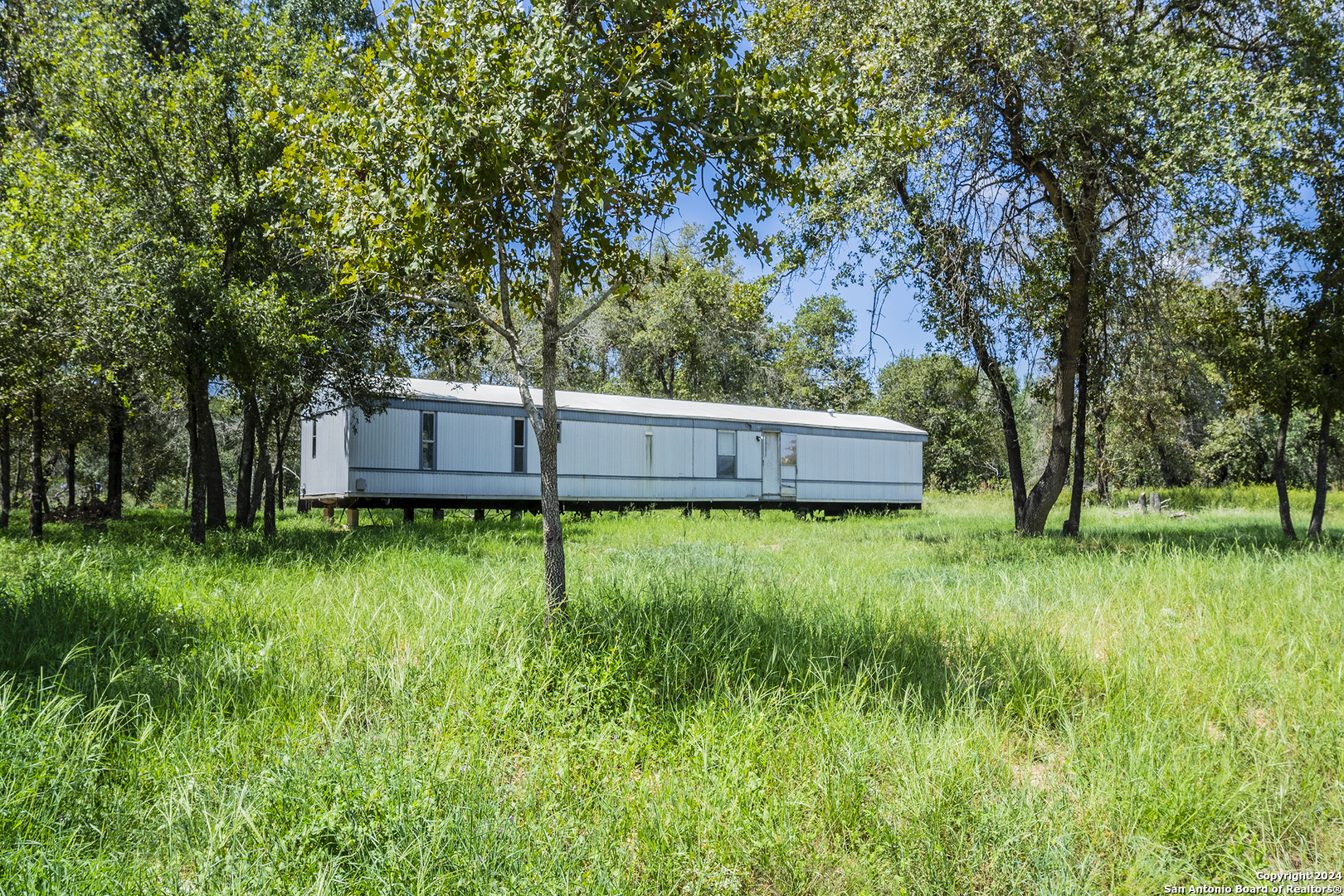 a view of a back yard with green space