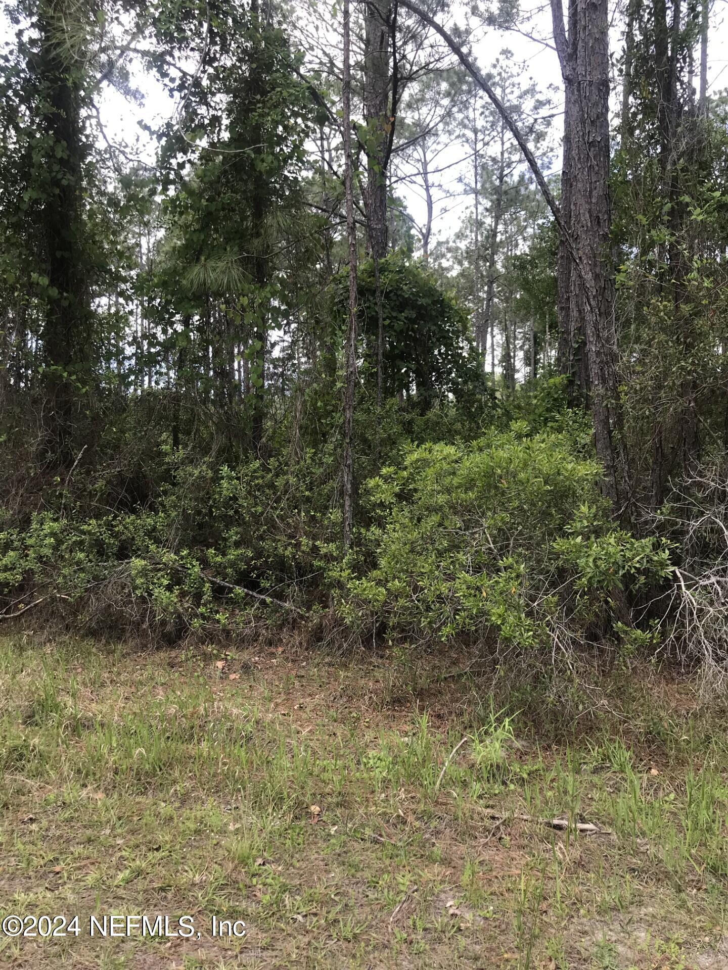 a view of outdoor space and trees