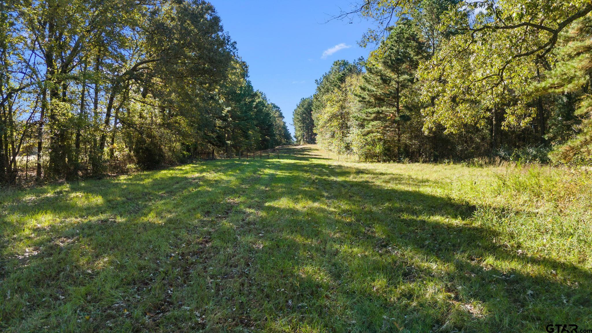 a view of a field with trees in the background