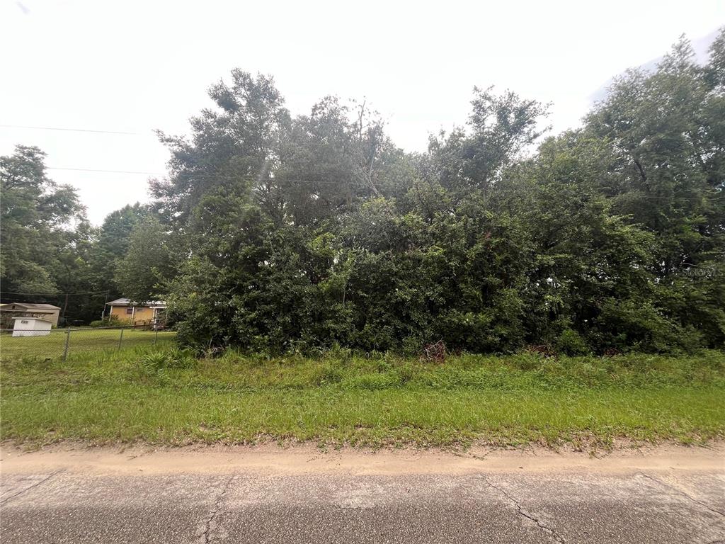 a view of a grassy field with trees