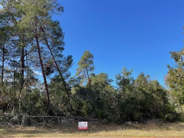 a view of a tree with a yard