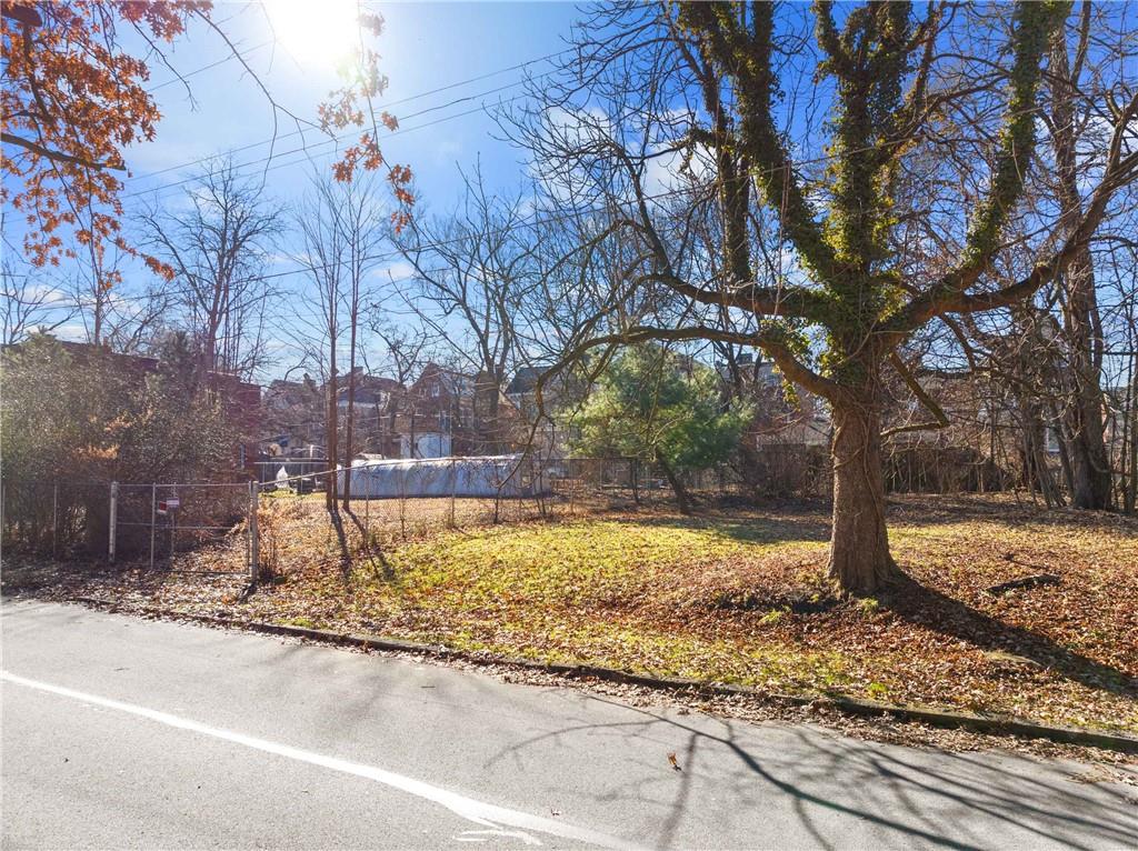 a view of a yard with trees